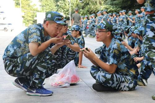 吃瓜网官网5军训,军训背后的故事与感悟