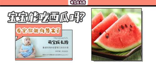 今日适宜吃瓜小说